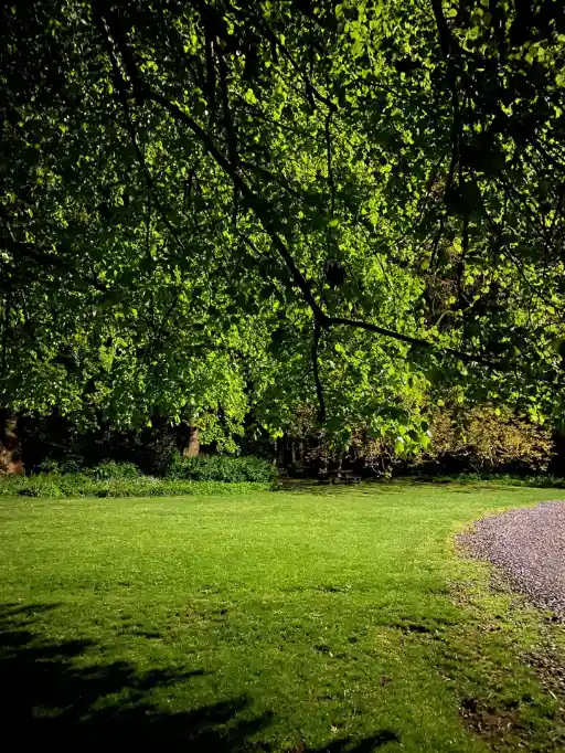 Jardin de la Villa Confiturerie Jardin de la Villa Confiturerie